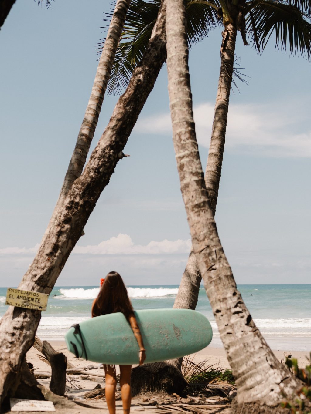 Aceptación y toma de&nbsp;acción